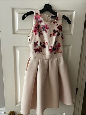 Little Mistress Blush Pink Embroidered Floral Dress Size 2petite